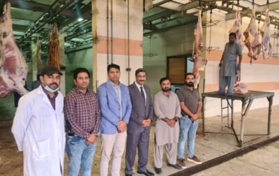 Magi Groups Staff (1)